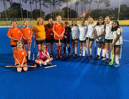 Image result for Perth Junior Ice Hockey Club