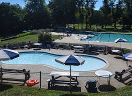 Image result for Odiham swim club