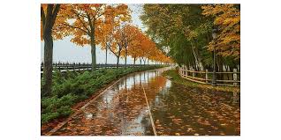 Image result for Приметы