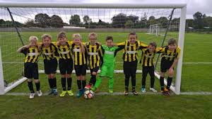 Image result for Holbeach United Youth Teams Football Club