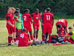 Image result for Crofton Albion Sports & Social Club