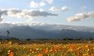 California WEATHER - Discover California's Wonderful WEATHER ...