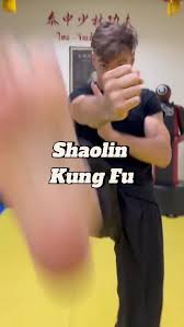 Image result for Hull Kung Fu