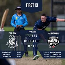 Image result for Carlton Cricket Club