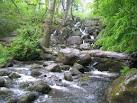 Dartmoor: Becky Falls - via Daymix