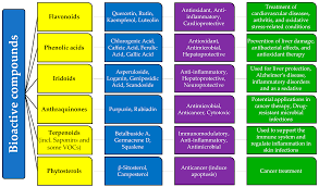 Attēlu rezultāti vaicājumam “Galium rivale fruit”
