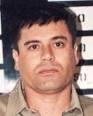 US: Mexico kingpin Guzman 'world's most powerful' - Tea Party Tribune