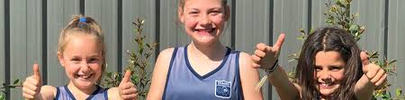 Image result for Henley Netball Club