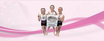 Image result for Gym Stars