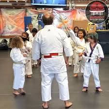 Image result for Bushido Academy Of Martial Arts (Bama)