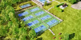 Image result for Greencroft Netball Club