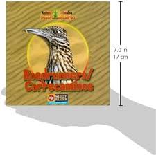 Image result for Reading Roadrunners