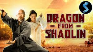 Image result for kung fu