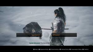 Image result for Ronin Yudansha Ryu