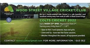Image result for Wood Street Village Cricket Club