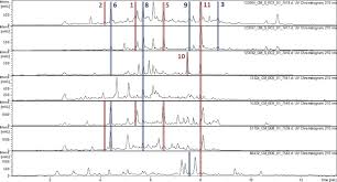 Attēlu rezultāti vaicājumam “Rosellinia desmazieri”