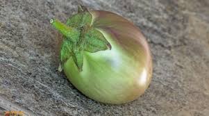 Afbeeldingsresultaat voor slim jim eggplant