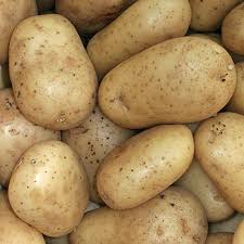 Attēlu rezultāti vaicājumam “Solanum tuberosum”