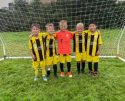 Image result for Kewstoke Junior Football Club