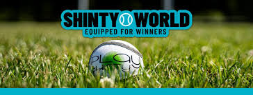 Image result for World of Shinty