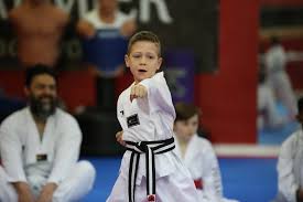 Image result for Mirfield Martial Arts Club