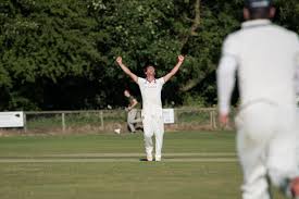 Image result for Bere Regis Cricket Club