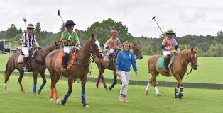 Image result for Cirencester Park Polo Club