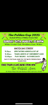 Image result for Wilden Village Cricket Club