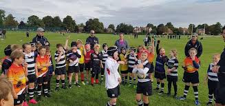 Image result for Royston Rufc