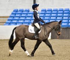 Image result for Fife Riding Club