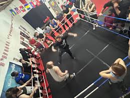 Image result for Burridge Fight Design