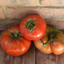 Afbeeldingsresultaat voor brandywine cherry tomato