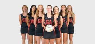 Image result for Harriers Netball Club