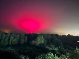 Afbeeldingsresultaat voor northern lights tomato