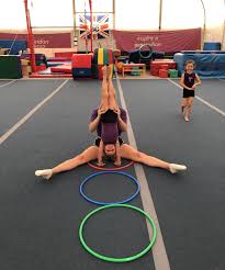 Image result for L&G Acrobatics