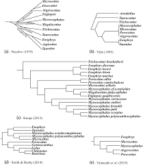 Image result for Myoxocephalus octodecemspinosus