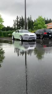 Image result for tuscani tibu...start=0