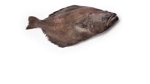 Image result for Reinhardtius hippoglossoides