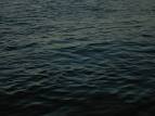 Dark Water