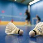 Image result for Shaftesbury (Pirbright) Badminton Club