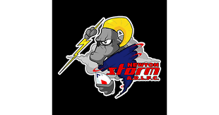 Image result for Newton - Le - Willows A R L F C