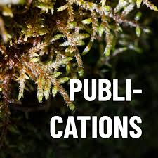 Attēlu rezultāti vaicājumam “Orthotrichum cupulatum var. riparium”