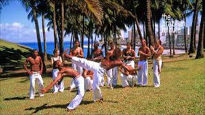 Image result for Brazilian-martial arts