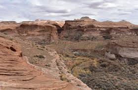 Image result for Dearne Valley Devils