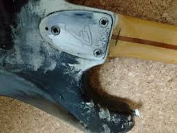 「アナイス・ワタソン」の画像検索結果