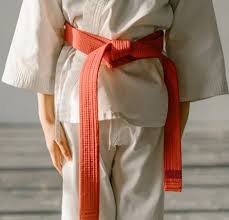 Image result for Utf Taekwondo Cymru Cardiff