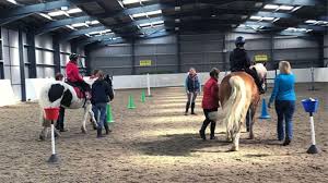 Image result for Riding For The Disabled Association