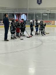 Image result for Ash Avalanche Skater Hockey Club