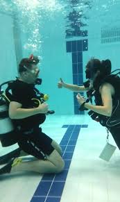 Image result for Plymouth Aquanauts