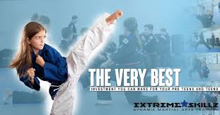 Image result for Skillz Martial Arts